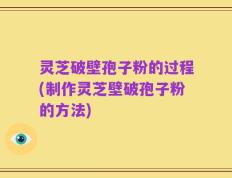 灵芝破壁孢子粉的过程(制作灵芝壁破孢子粉的方法)