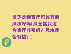 灵芝盆栽客厅可以养吗风水好吗(灵芝盆栽适合客厅养殖吗？风水是否有益？)