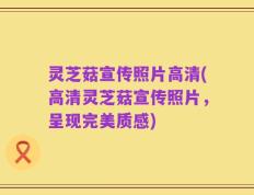 灵芝菇宣传照片高清(高清灵芝菇宣传照片，呈现完美质感)