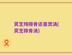 灵芝炖排骨还是煲汤(灵芝排骨汤)