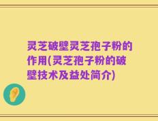 灵芝破壁灵芝孢子粉的作用(灵芝孢子粉的破壁技术及益处简介)