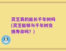 灵芝真的能长千年树吗(灵芝能够与千年树交换寿命吗？)