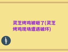 灵芝烤鸡被砸了(灵芝烤鸡现场遭遇破坏)