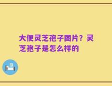 大便灵芝孢子图片？灵芝孢子是怎么样的