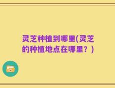 灵芝种植到哪里(灵芝的种植地点在哪里？)