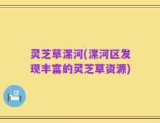 灵芝草漯河(漯河区发现丰富的灵芝草资源)