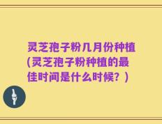 灵芝孢子粉几月份种植(灵芝孢子粉种植的最佳时间是什么时候？)
