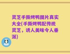 灵芝手撕烤鸭图片真实大全(手撕烤鸭配传统灵芝，诱人美味令人垂涎)