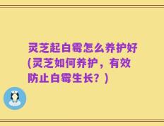 灵芝起白霉怎么养护好(灵芝如何养护，有效防止白霉生长？)