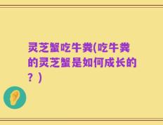 灵芝蟹吃牛粪(吃牛粪的灵芝蟹是如何成长的？)