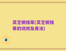 灵芝铜钱草(灵芝铜钱草的功效及用法)