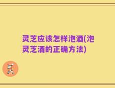 灵芝应该怎样泡酒(泡灵芝酒的正确方法)