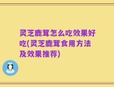 灵芝鹿茸怎么吃效果好吃(灵芝鹿茸食用方法及效果推荐)