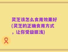 灵芝该怎么食用效果好(灵芝的正确食用方式，让你受益匪浅)