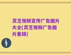 灵芝视频宣传广告图片大全(灵芝视频广告图片集锦)