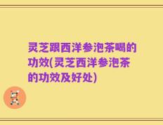 灵芝跟西洋参泡茶喝的功效(灵芝西洋参泡茶的功效及好处)