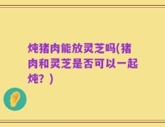 炖猪肉能放灵芝吗(猪肉和灵芝是否可以一起炖？)