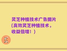 灵芝种植技术广告图片(高效灵芝种植技术，收益倍增！)