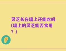灵芝长在墙上还能吃吗(墙上的灵芝能否食用？)