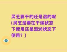 灵芝要干的还是湿的呢(灵芝是要在干燥状态下使用还是湿润状态下使用？)