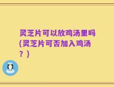灵芝片可以放鸡汤里吗(灵芝片可否加入鸡汤？)