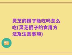 灵芝的棍子能吃吗怎么吃(灵芝棍子的食用方法及注意事项)