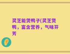 灵芝能煲鸭子(灵芝煲鸭，富含营养，气味芬芳