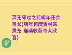 灵芝采过之后明年还会再长(明年再度吉林采灵芝 连续收获令人欣喜)