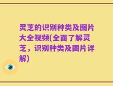 灵芝的识别种类及图片大全视频(全面了解灵芝，识别种类及图片详解)