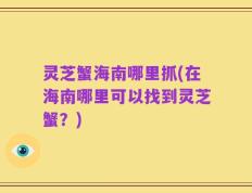 灵芝蟹海南哪里抓(在海南哪里可以找到灵芝蟹？)