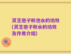 灵芝孢子粉泡水的功效(灵芝孢子粉水的功效及作用介绍)