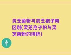灵芝菌粉与灵芝孢子粉区别(灵芝孢子粉与灵芝菌粉的辨析)
