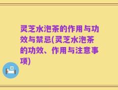 灵芝水泡茶的作用与功效与禁忌(灵芝水泡茶的功效、作用与注意事项)