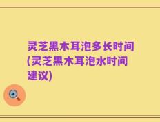灵芝黑木耳泡多长时间(灵芝黑木耳泡水时间建议)