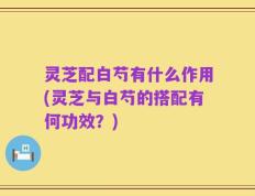 灵芝配白芍有什么作用(灵芝与白芍的搭配有何功效？)