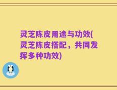 灵芝陈皮用途与功效(灵芝陈皮搭配，共同发挥多种功效)