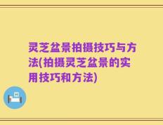 灵芝盆景拍摄技巧与方法(拍摄灵芝盆景的实用技巧和方法)