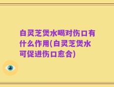 白灵芝煲水喝对伤口有什么作用(白灵芝煲水可促进伤口愈合)