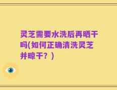 灵芝需要水洗后再晒干吗(如何正确清洗灵芝并晾干？)