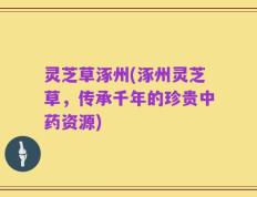 灵芝草涿州(涿州灵芝草，传承千年的珍贵中药资源)