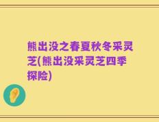 熊出没之春夏秋冬采灵芝(熊出没采灵芝四季探险)