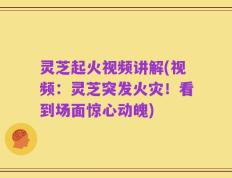 灵芝起火视频讲解(视频：灵芝突发火灾！看到场面惊心动魄)