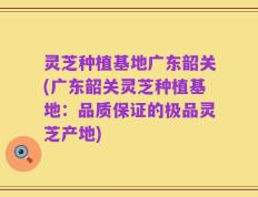 灵芝种植基地广东韶关(广东韶关灵芝种植基地：品质保证的极品灵芝产地)