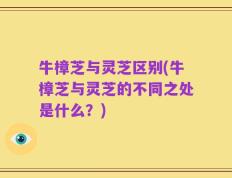 牛樟芝与灵芝区别(牛樟芝与灵芝的不同之处是什么？)