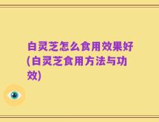 白灵芝怎么食用效果好(白灵芝食用方法与功效)