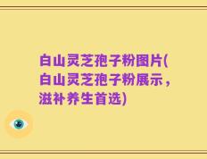 白山灵芝孢子粉图片(白山灵芝孢子粉展示，滋补养生首选)