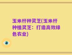 玉米杆种灵芝(玉米杆种植灵芝：打造高效绿色农业)