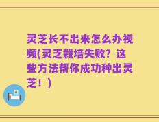 灵芝长不出来怎么办视频(灵芝栽培失败？这些方法帮你成功种出灵芝！)