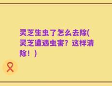 灵芝生虫了怎么去除(灵芝遭遇虫害？这样清除！)