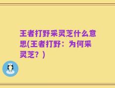王者打野采灵芝什么意思(王者打野：为何采灵芝？)